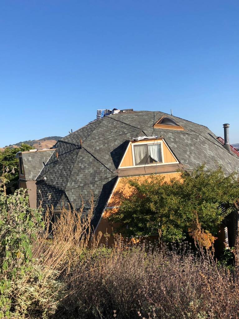 579cc3a2-ce61-4f93-a9d1-9c5065317d8c - Omar Lopez