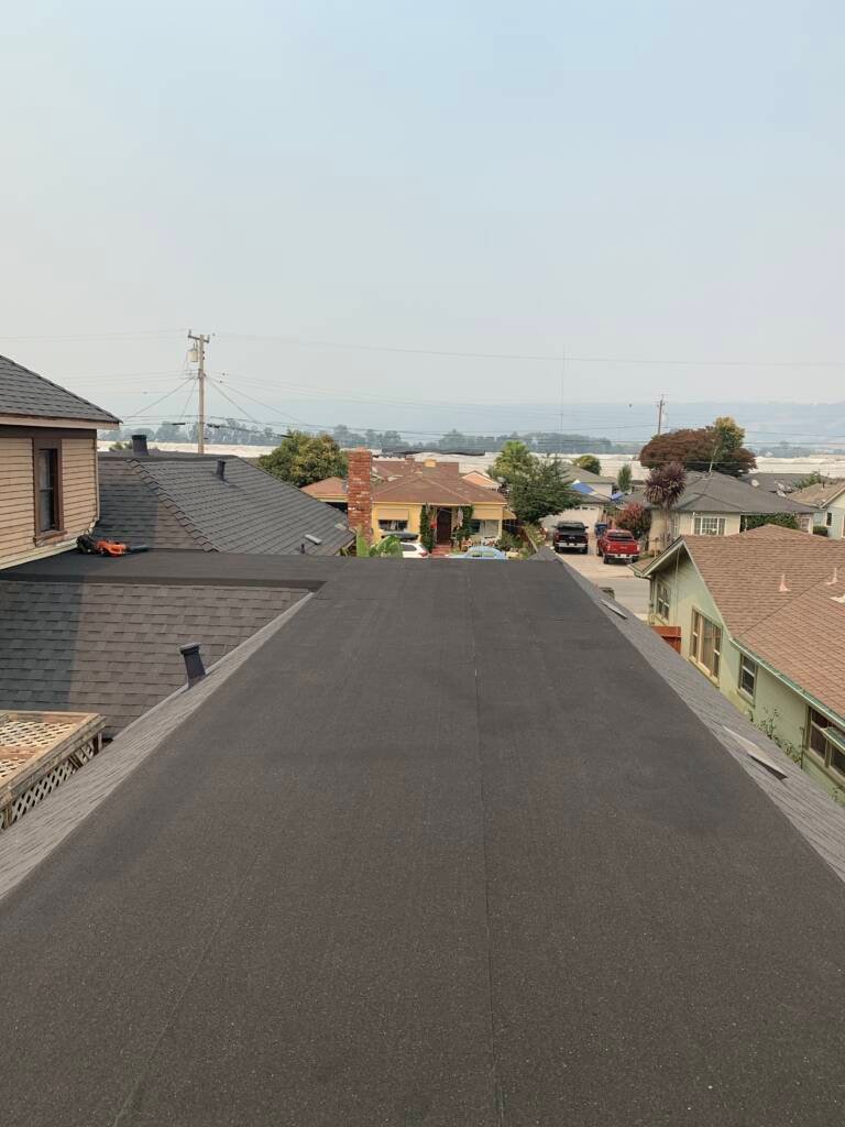 IMG_2455 - Omar Lopez